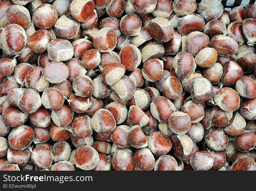 Close-up view of fresh chestnuts in autumn