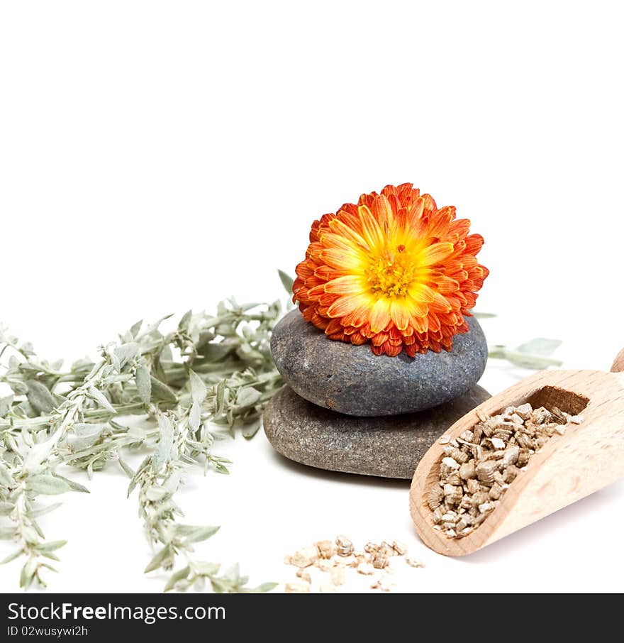 Flower and stones isolated on a white background. Flower and stones isolated on a white background.