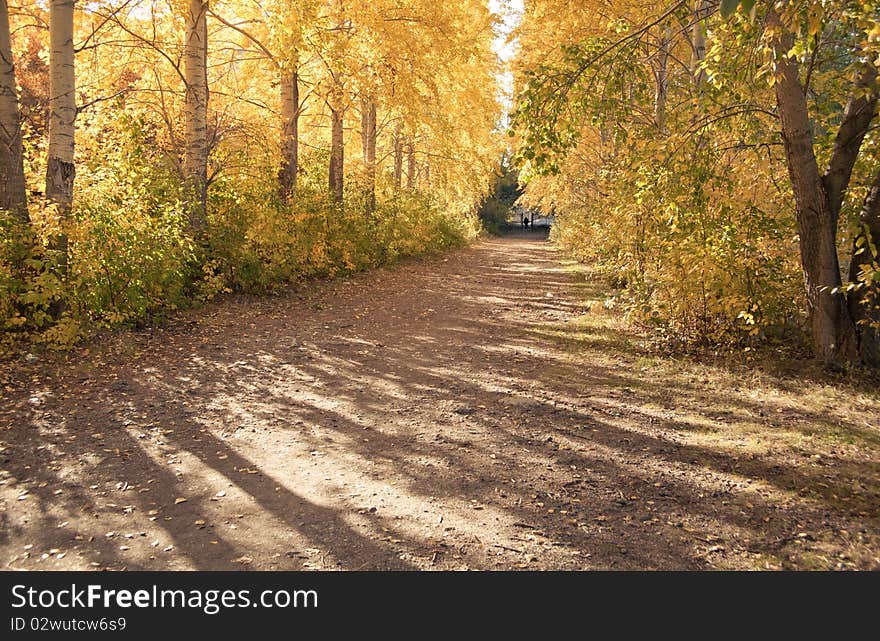 Autumn Landscape