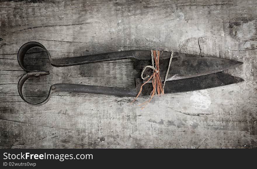 Rusty Sheering Scissors