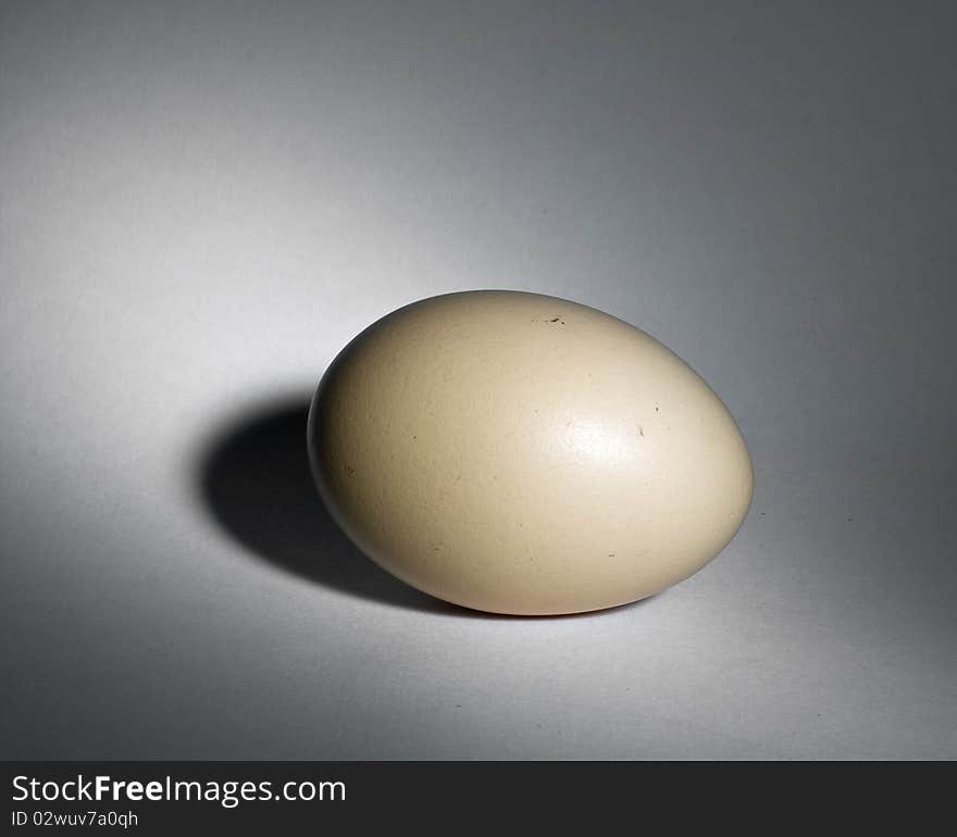 Natural egg with shadow