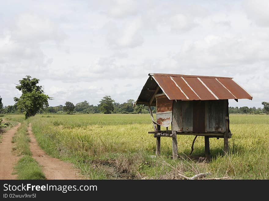 Central Cottage Farm2