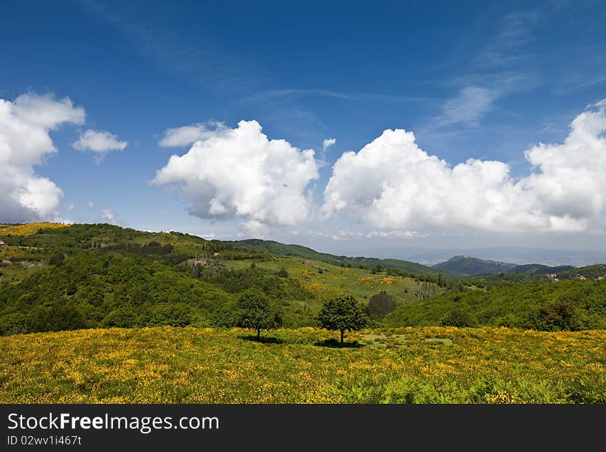 Idyllic landscape - national park Mount Amiata Tuscany / Italy