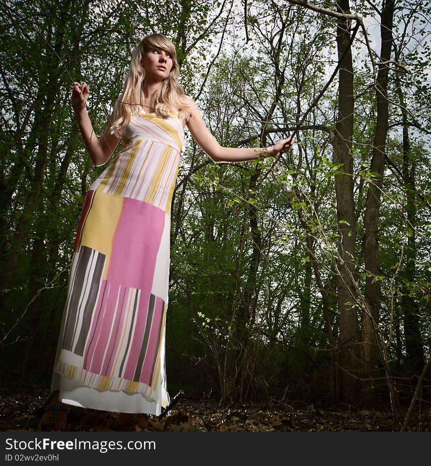 Wide-angle portrait of a young lady in a dark forest. Wide-angle portrait of a young lady in a dark forest