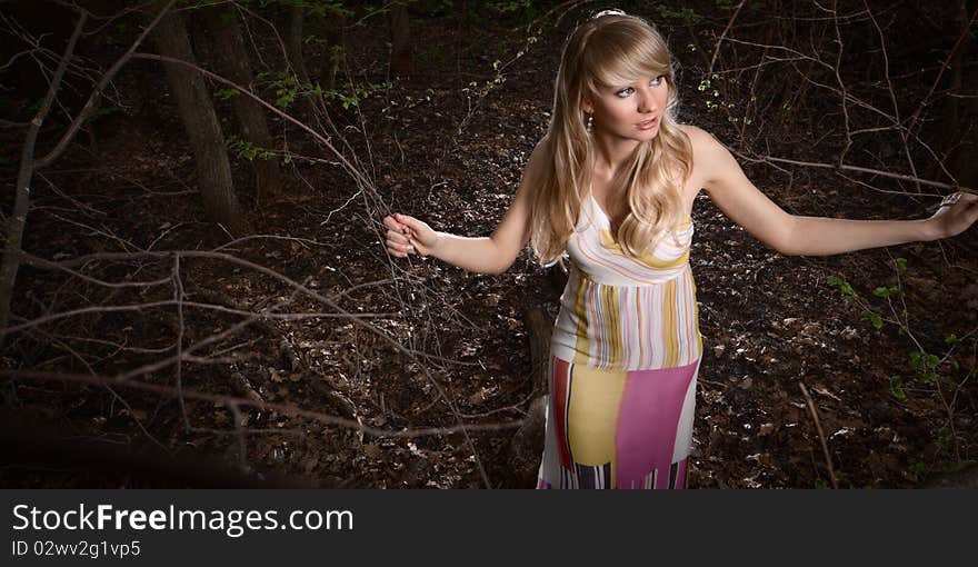 Wide-angle portrait of a young lady in a dark forest. Wide-angle portrait of a young lady in a dark forest