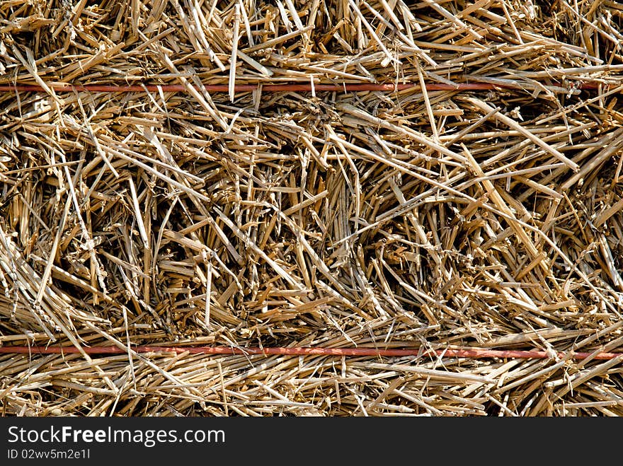 Straw, Hay Background