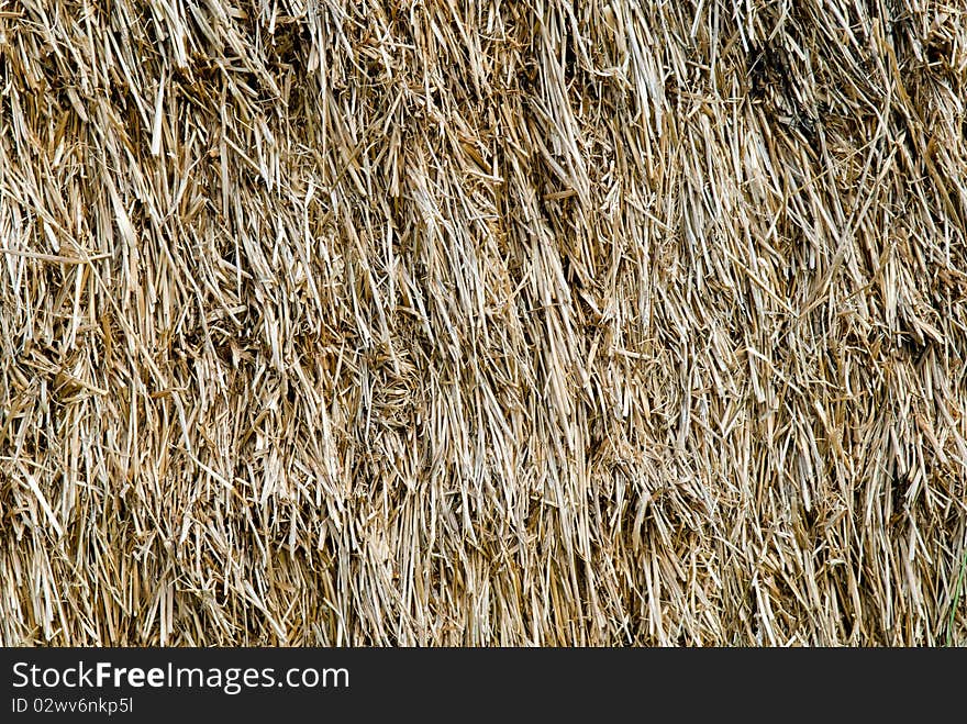 Straw, Hay Background