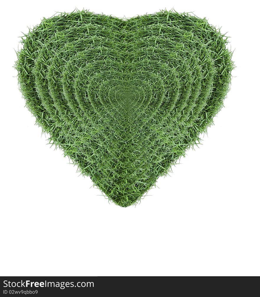 Grass heart shape for photo frame. Grass heart shape for photo frame