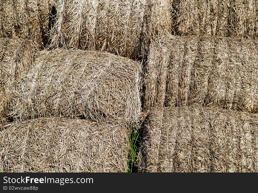 Straw, hay background