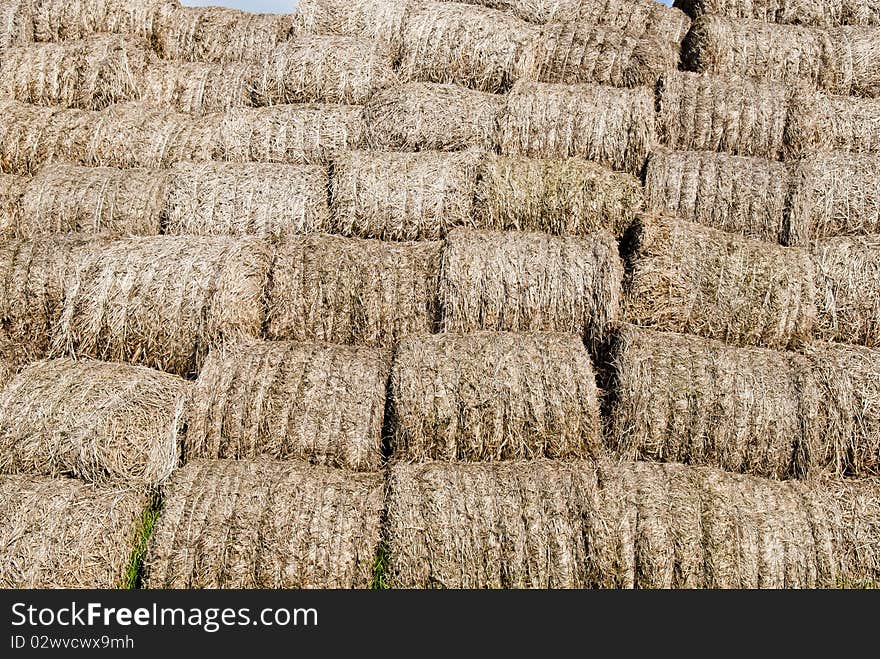 Straw, hay background