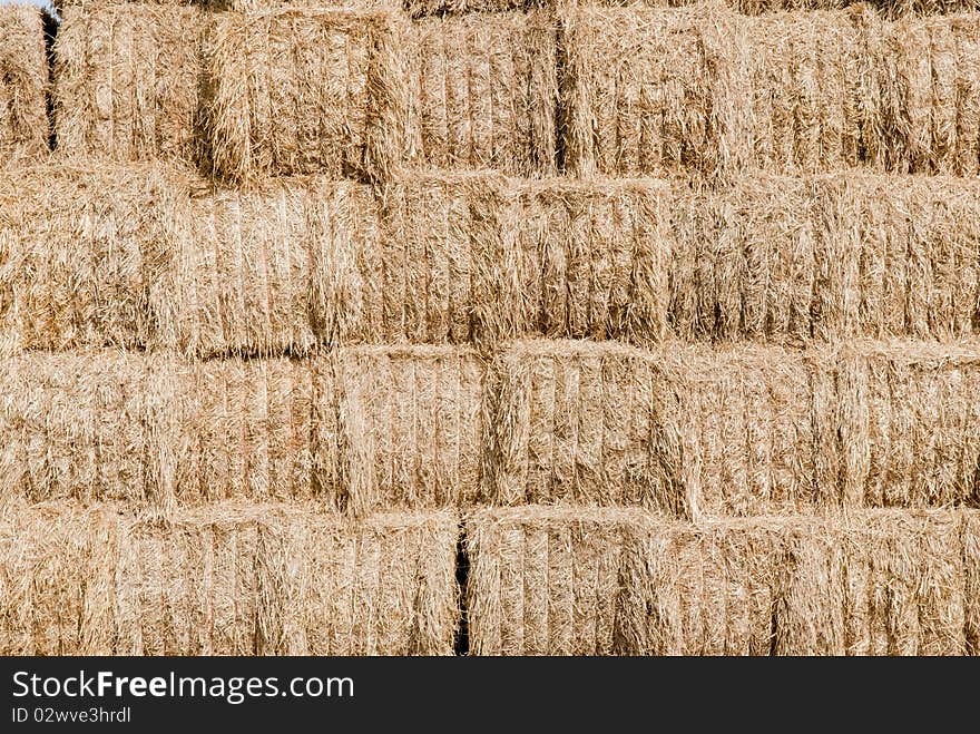 Straw, Hay Background