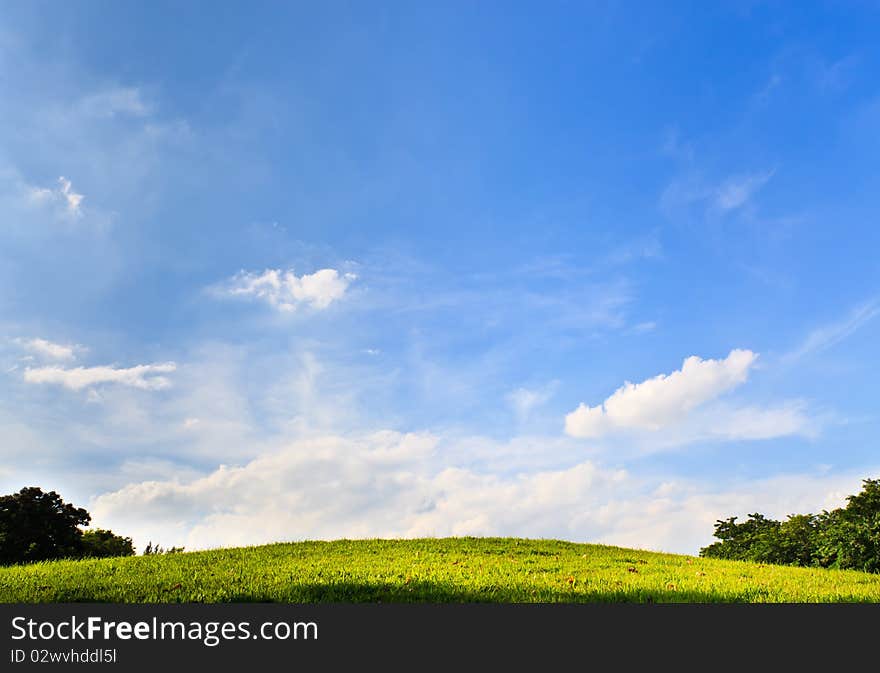 Green grass world for fisheye lens. Green grass world for fisheye lens