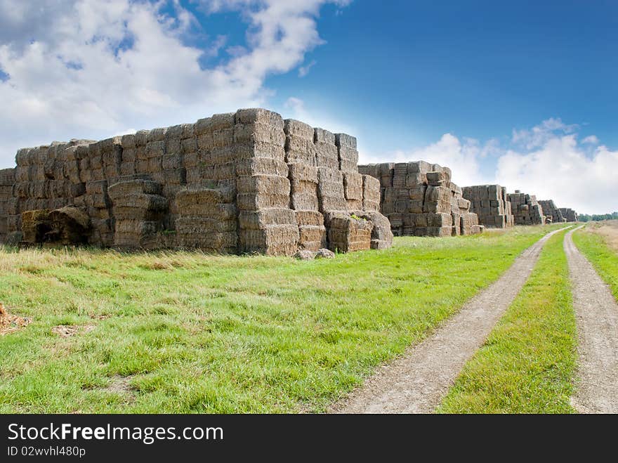 Haystacks bales in countryside