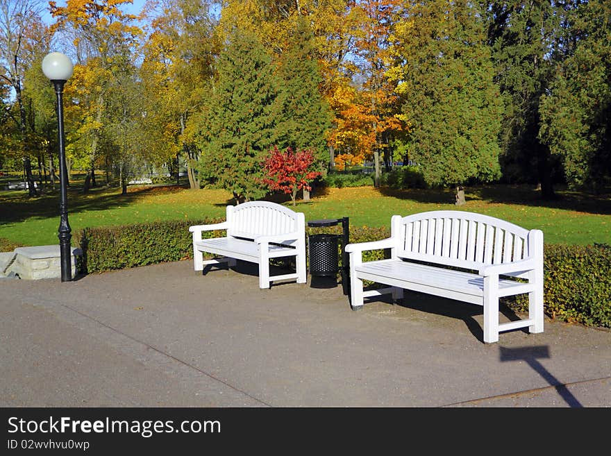 Two benches in autump park. Two benches in autump park