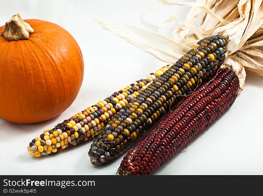 Pumpkin And Corn