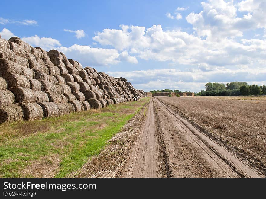 Haystacks bales in countryside