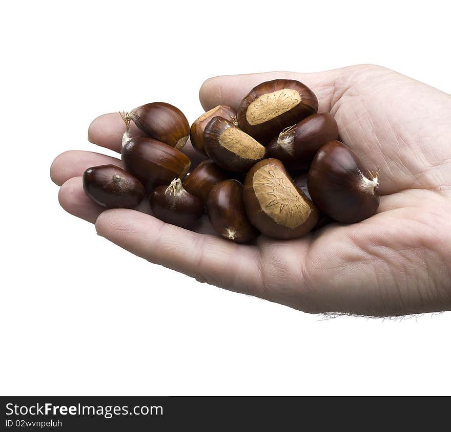 Hand holding chestnuts on white background