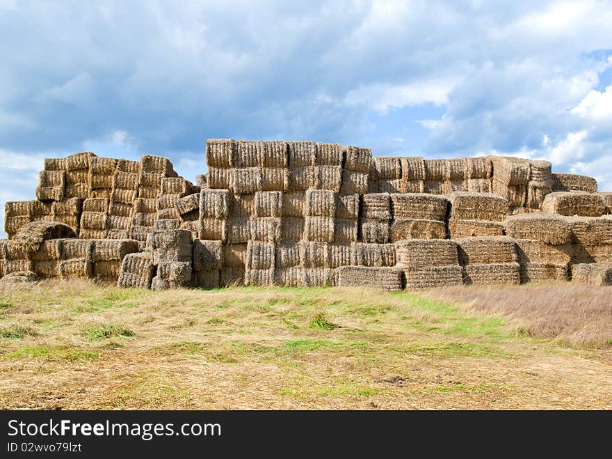 Haystacks bales in countryside