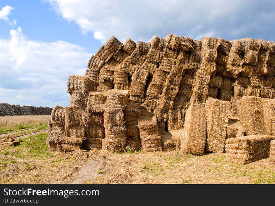 Haystacks bales in countryside