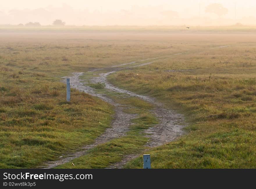 Rural road on green field