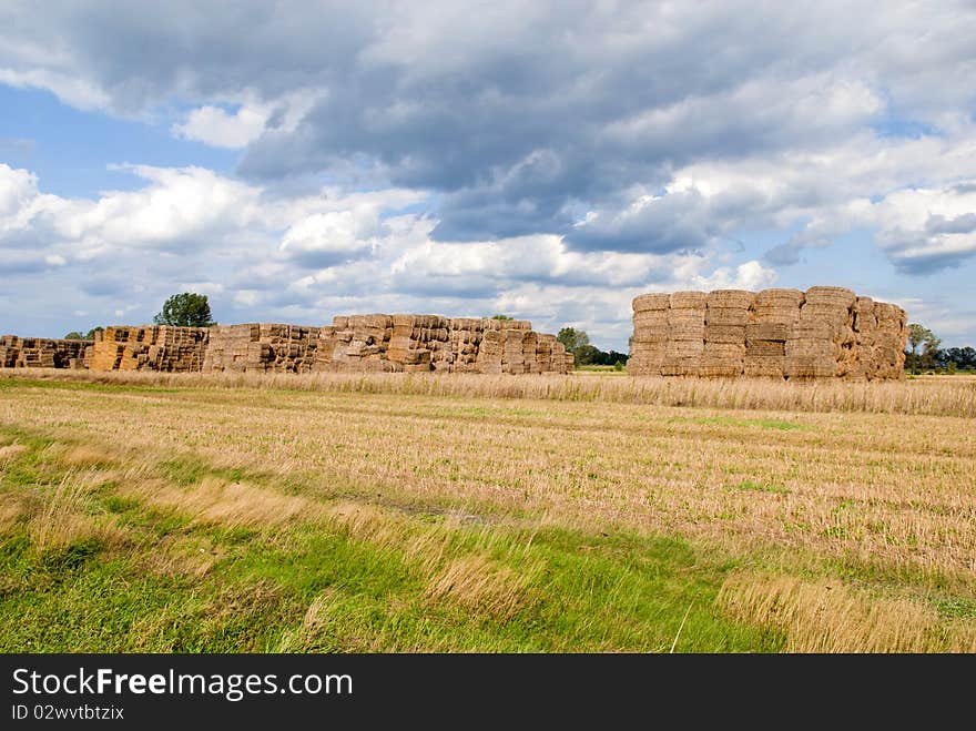 Haystacks bales in countryside