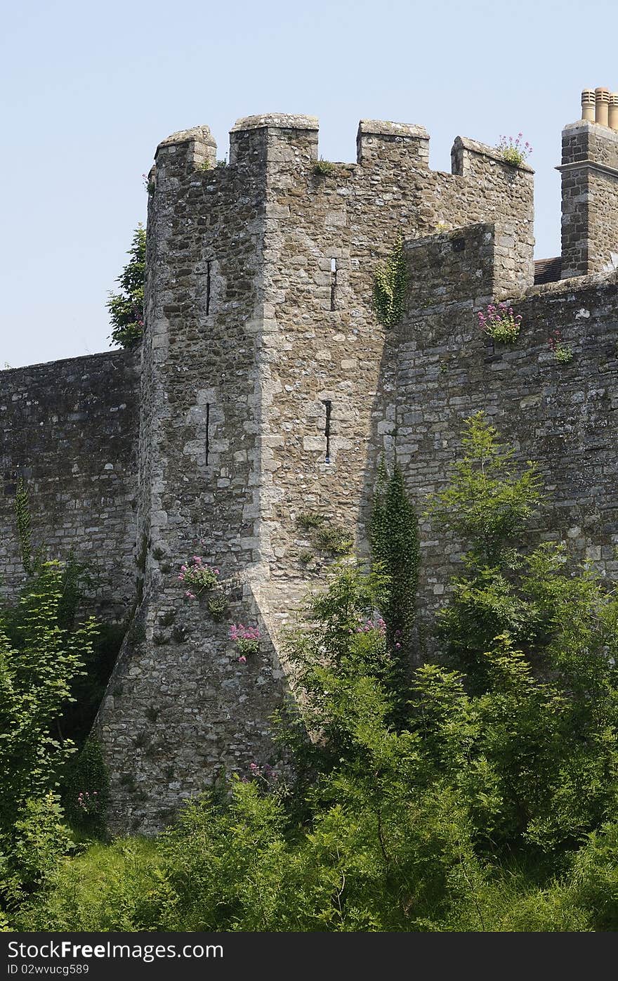 Trees near english castle