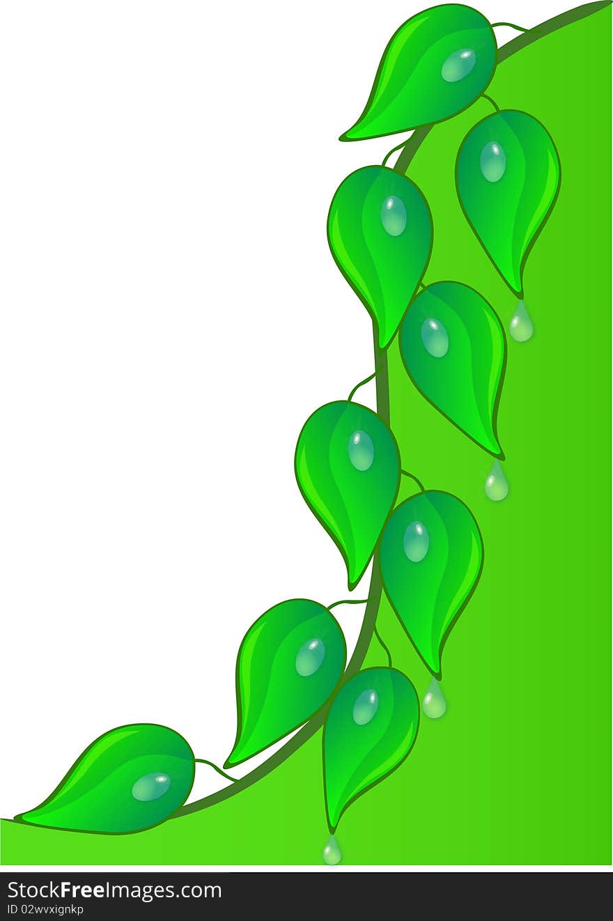 Illustration background with green sheet and dewdrop