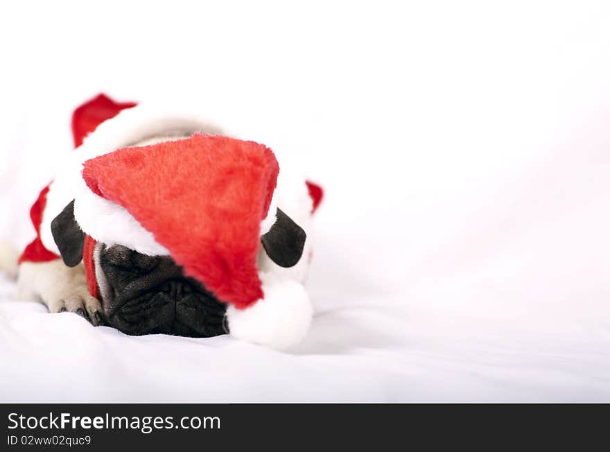 tired Santa Claus Puppy