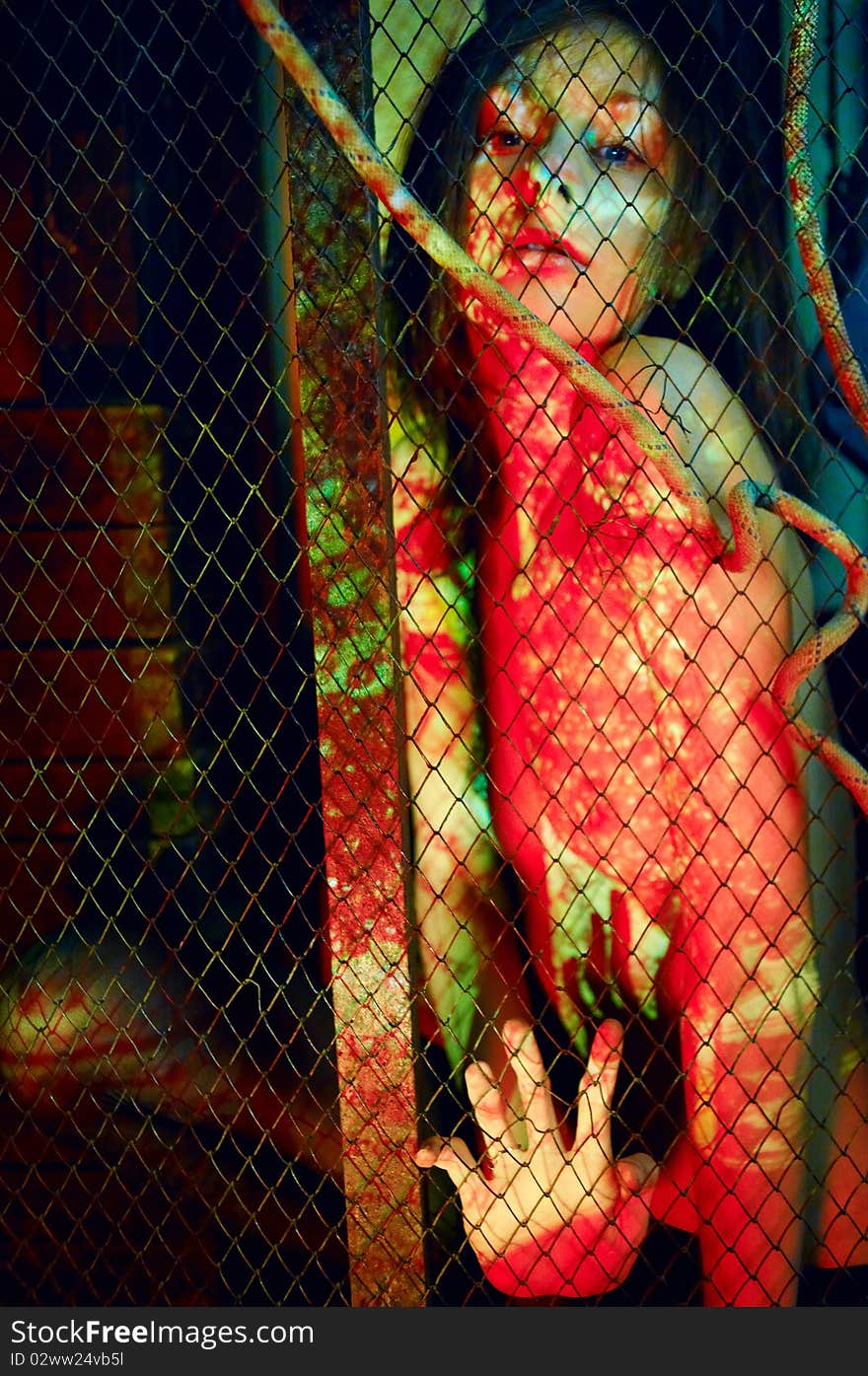 BodyPaint female throught the lattice; Bizzare portrait