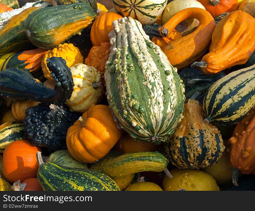 Colorful pumpkins for Halloween Scary Jack