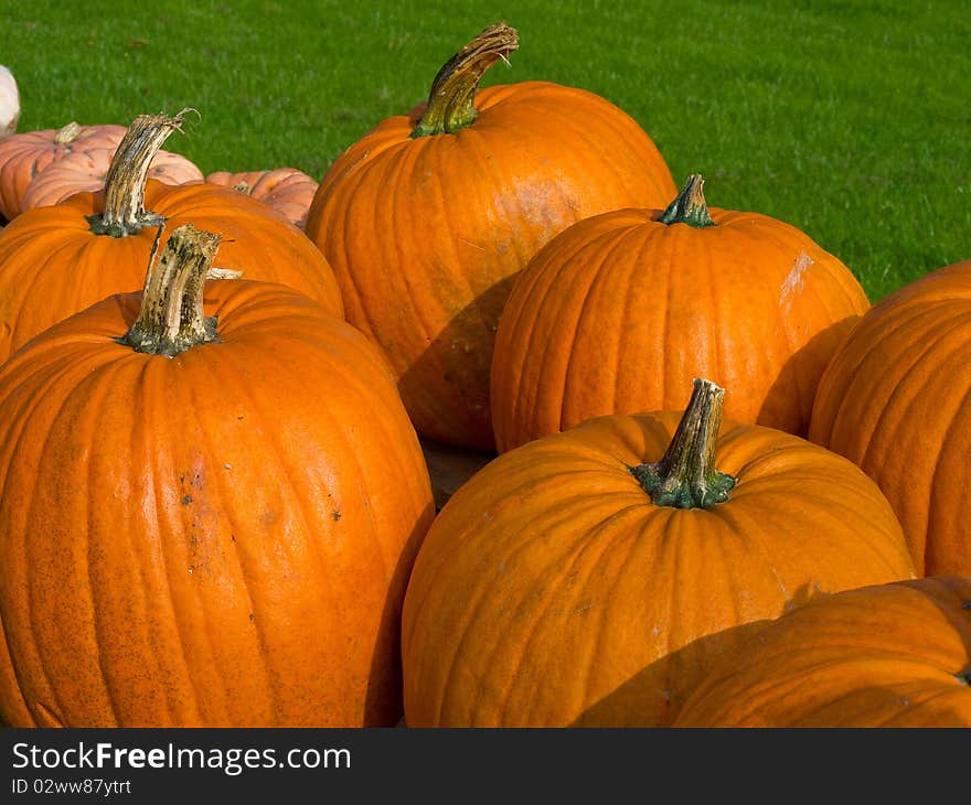 Colorful pumpkins for Halloween Scary Jack