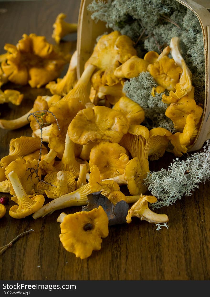 Chanterelles