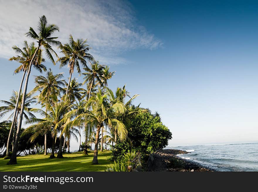 Idyllic tropical landscape in Indonesia. Idyllic tropical landscape in Indonesia