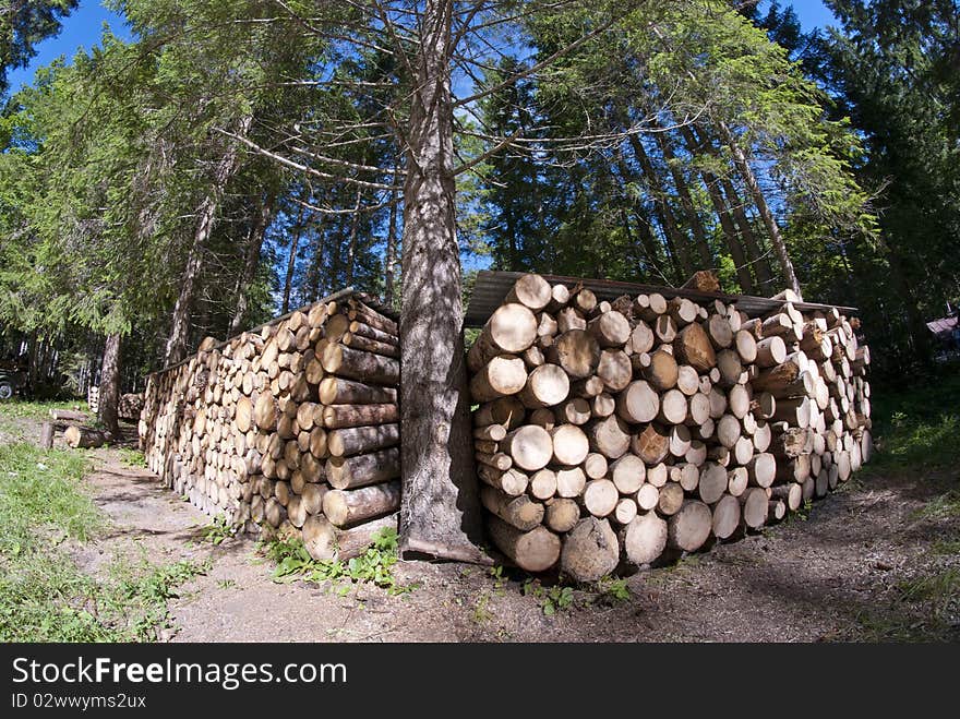 Lumber on a Dolomites Wood, Italy. Lumber on a Dolomites Wood, Italy