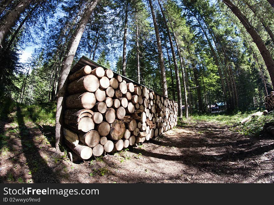 Stacked Pieces of Trees on the Dolomites, Italy. Stacked Pieces of Trees on the Dolomites, Italy