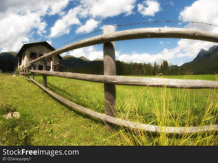 Meadows of Val Visdende, Italy