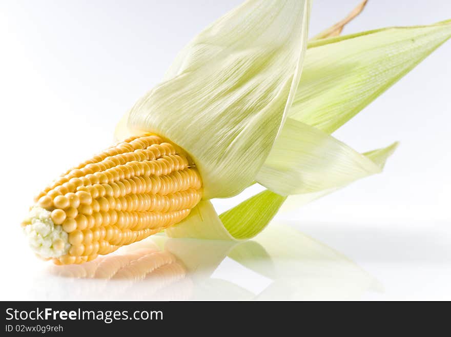 Yellow corn cob isolated on white ground. Yellow corn cob isolated on white ground