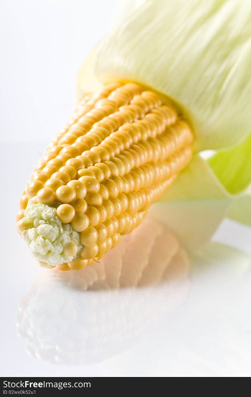 Yellow corn cob isolated on white ground. Yellow corn cob isolated on white ground