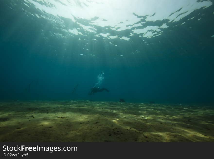 Diver and ocean taken in the Red Sea.