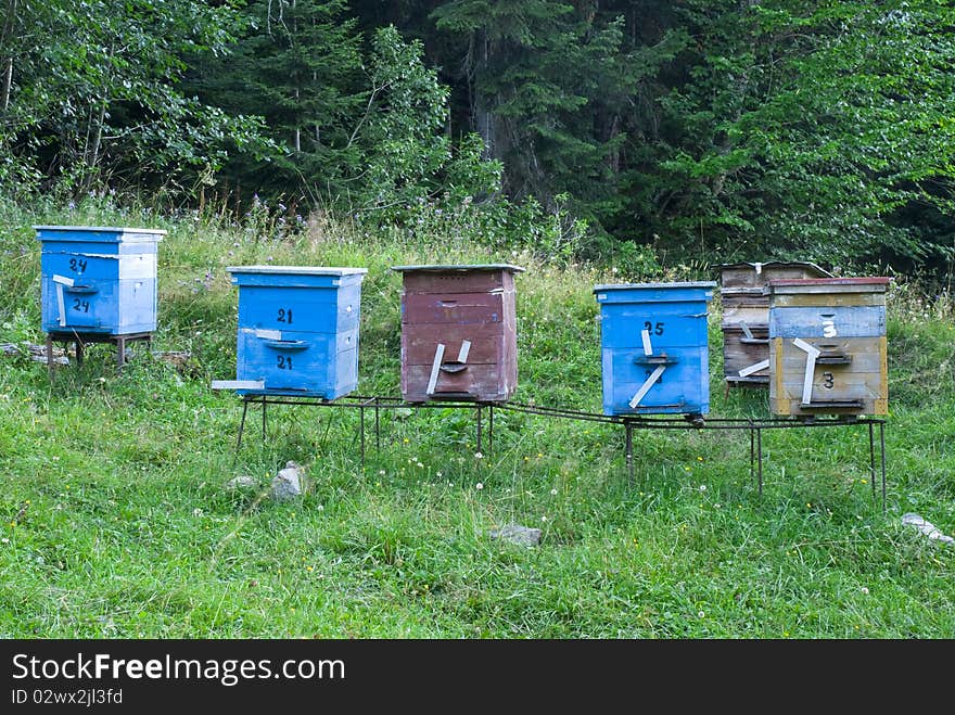 Color Wooden Bee Hives