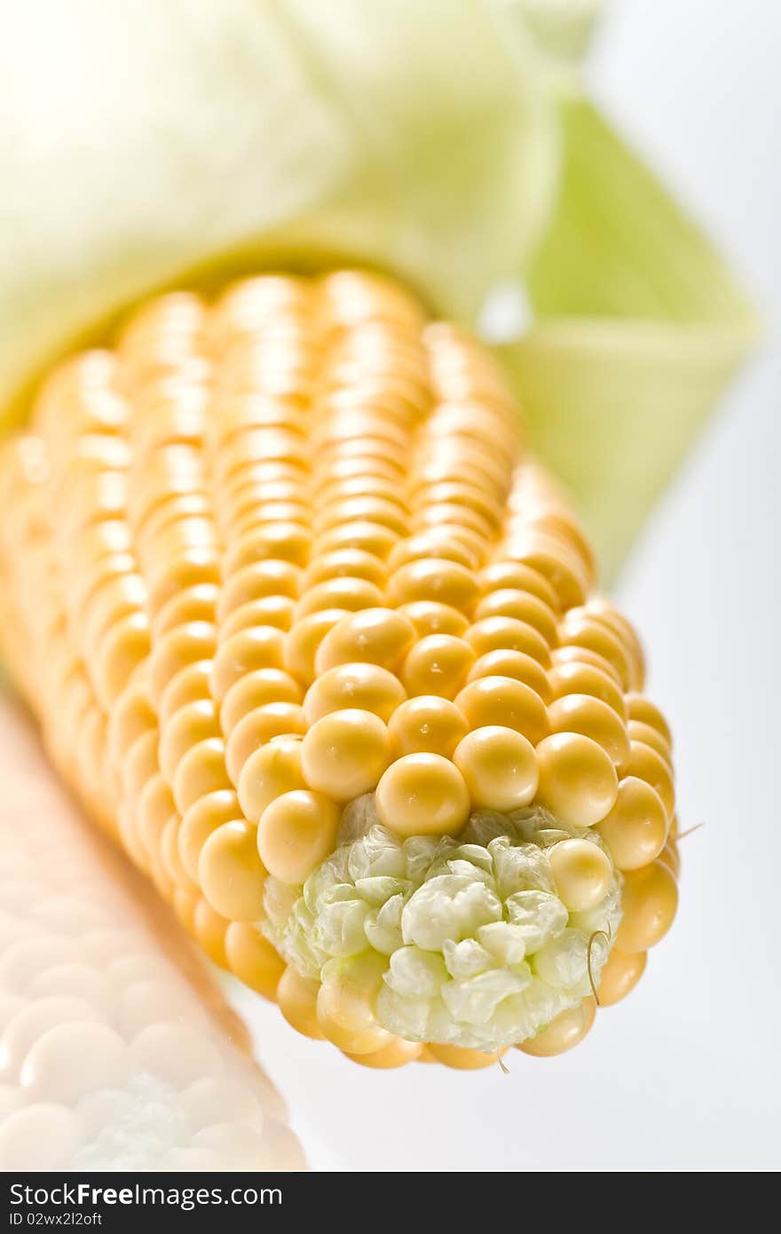 Yellow corn cob isolated on white ground. Yellow corn cob isolated on white ground