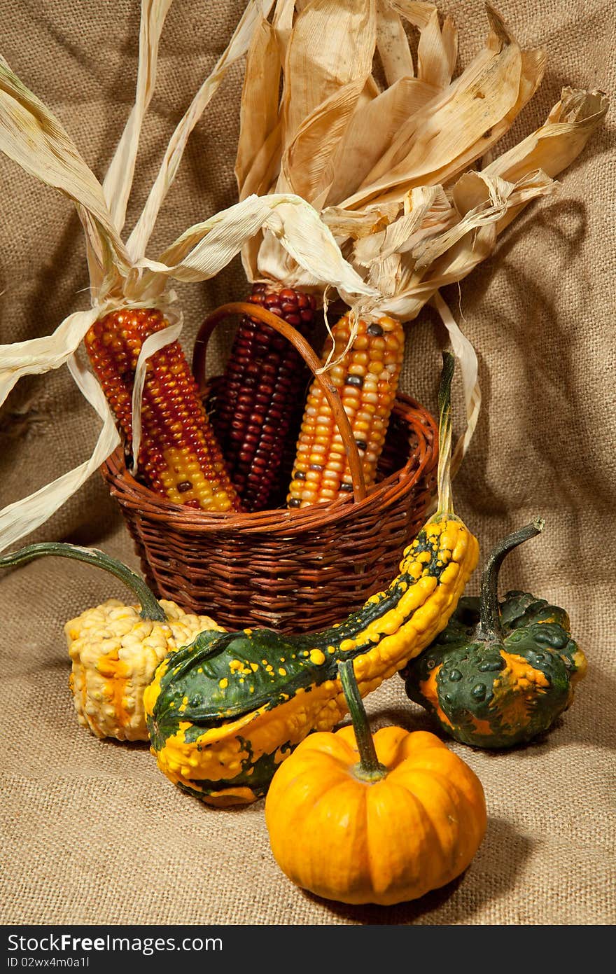 Pumpkin and decoring corn in the basket. Pumpkin and decoring corn in the basket