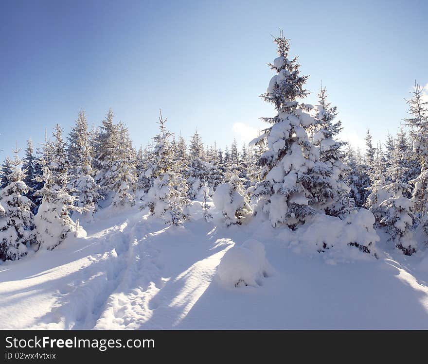 A frosty and sun day is in mountains. A frosty and sun day is in mountains