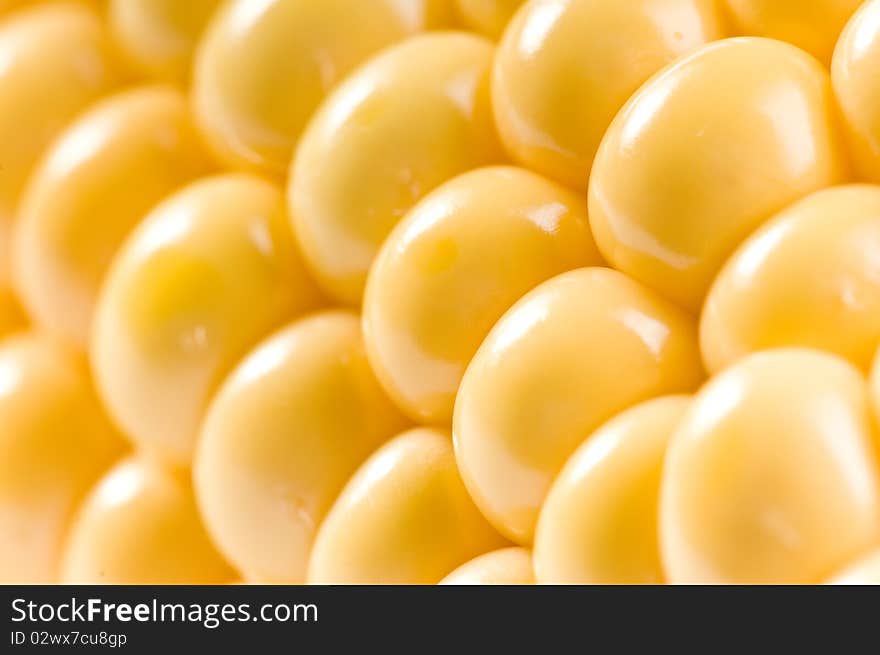 Yellow corn cob isolated on white ground. Yellow corn cob isolated on white ground