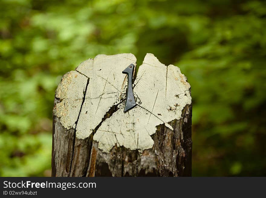 A numeral one is nailed to a wooden stump with green foliage in the background. A numeral one is nailed to a wooden stump with green foliage in the background.