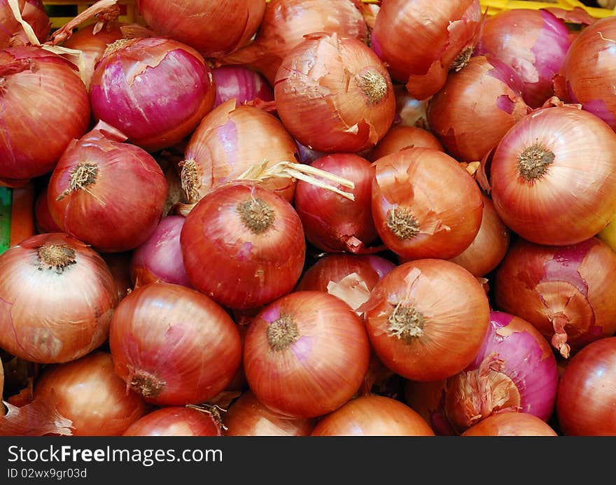 Close up of onion on market stand