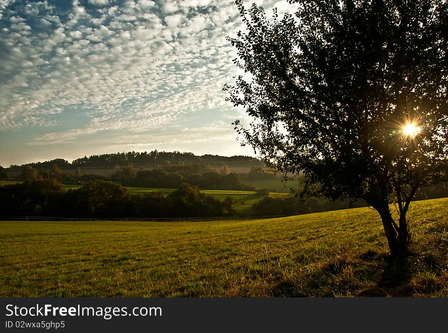 Nature sunset tucked inside a tree. Nature sunset tucked inside a tree