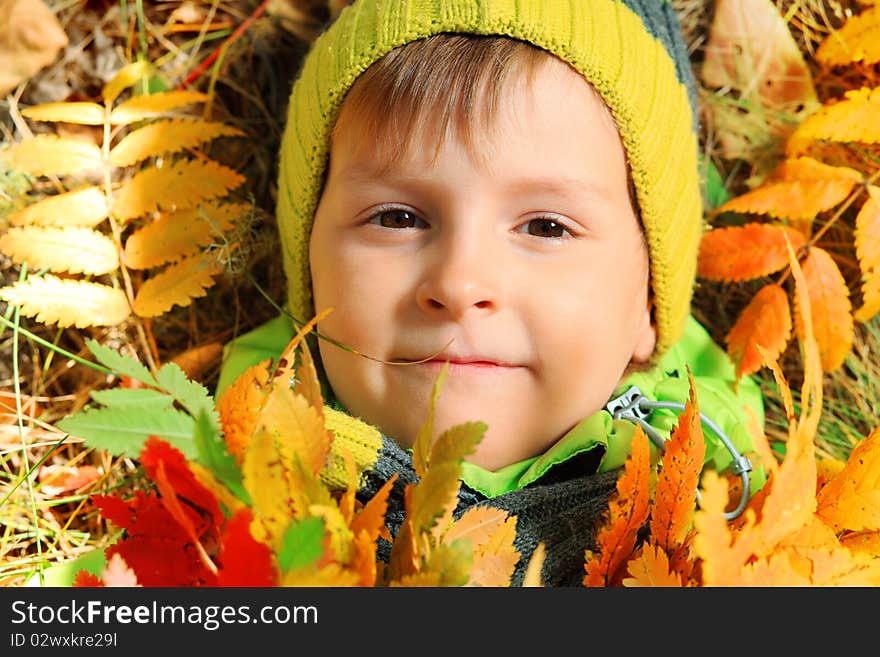 Herbarium Portrait