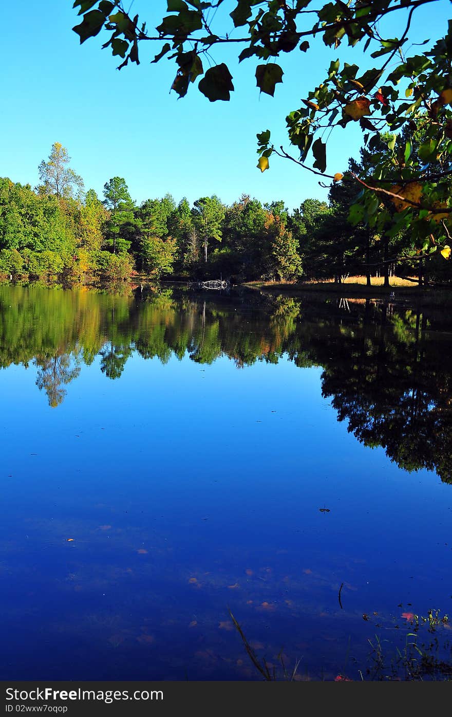 Beautiful rural pond, with blue sky reflecting from the smooth surface. Beautiful rural pond, with blue sky reflecting from the smooth surface.