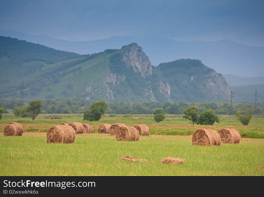 Haystacks on a green field